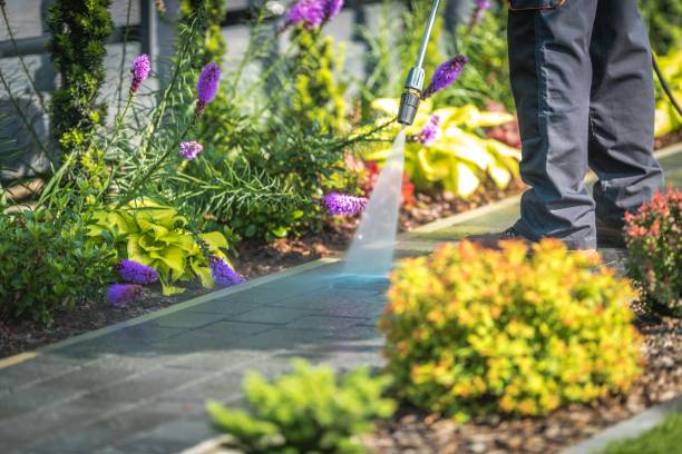 Best Dumpster Area Cleaning  in Gosport, IN
